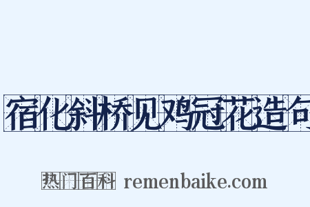 宿化斜桥见鸡冠花造句是什么意思的图片